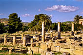 Agrigento - Il quartiere ellenistico-romano 